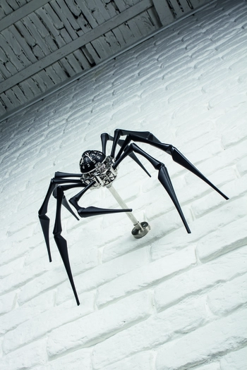 L'Epée 1839 Arachnophobia Insitu 1 Arachnophobia